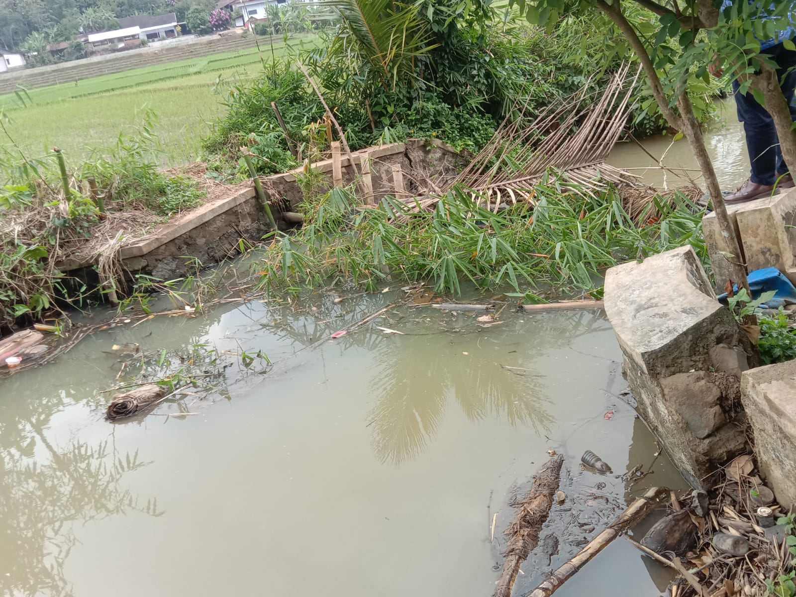 Gambar Berita